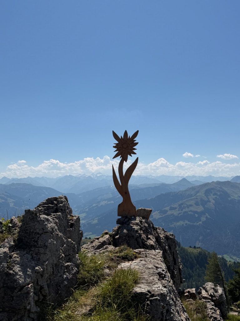 Hornblick Kitz Apartment Kirchberg Kitzbühel